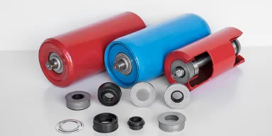 Lip seals